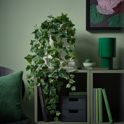 FEJKA artificial potted plant, in/outdoor hanging/ Ivy, 15cm