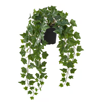 FEJKA artificial potted plant, in/outdoor hanging/ Ivy, 15cm
