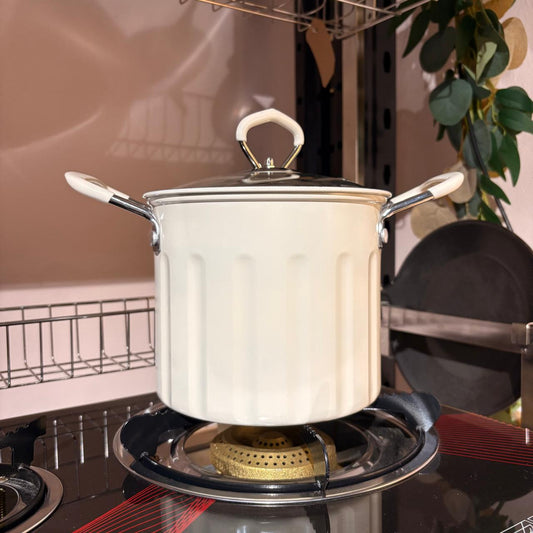 SELÚRÚT Deep Fryer Pot with Strainer, 3L