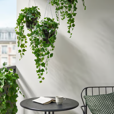 FEJKA artificial potted plant, in/outdoor hanging/ Ivy, 15cm