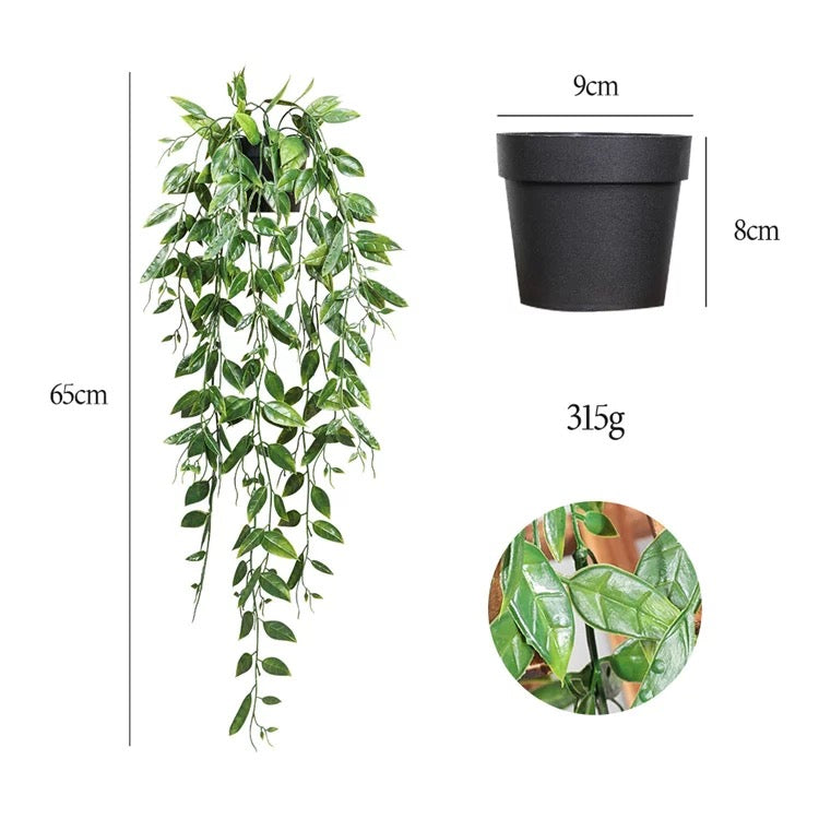 FEJKA hanging plants in a pot, 9cm