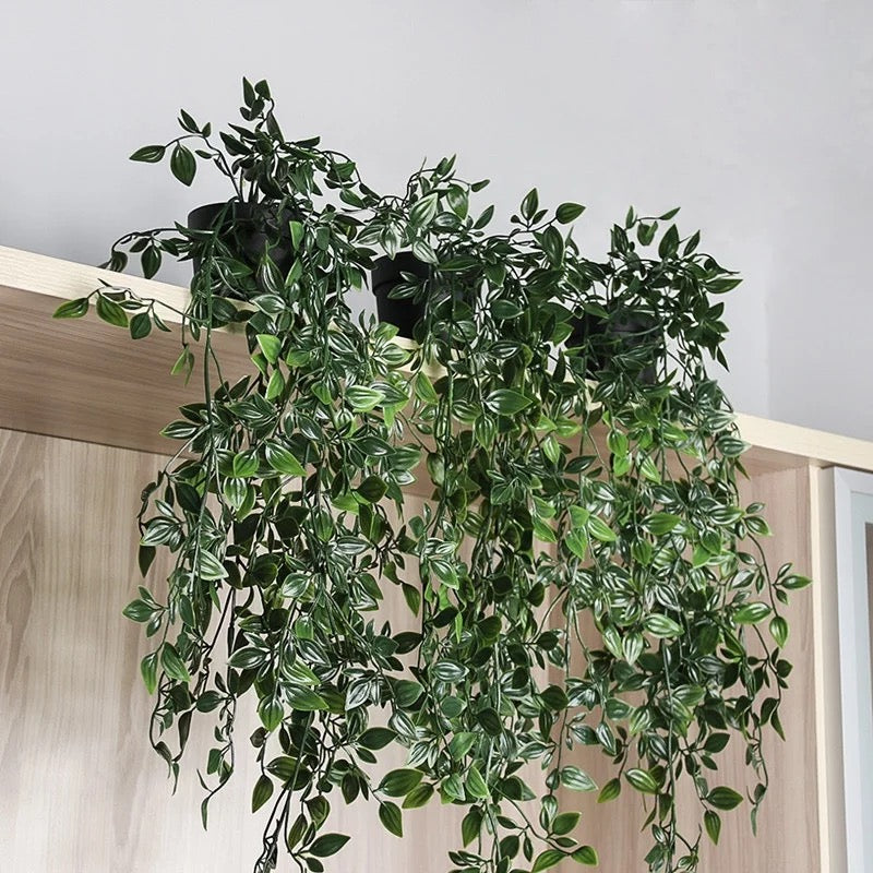 FEJKA hanging plants in a pot, 9cm